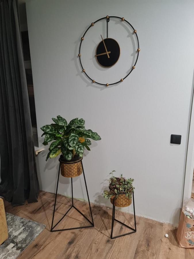 ריגה Old Town Apartment מראה חיצוני תמונה